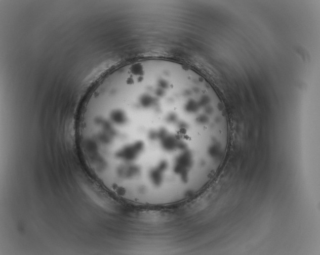 X0000113890298200910081814