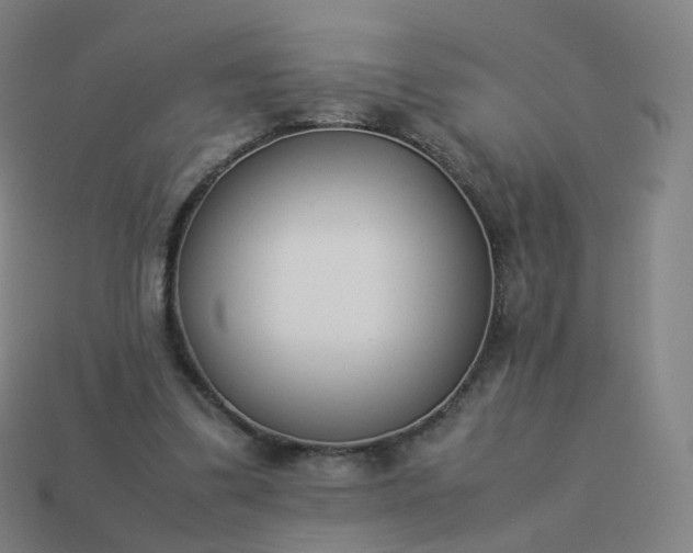 X0000113890299200910081814