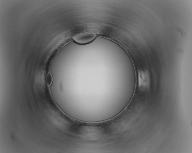 X0000113890300200910081814