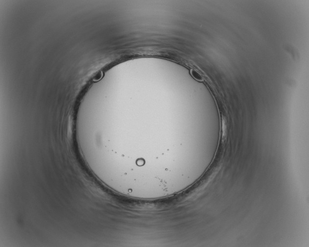 X0000113890301200910081814