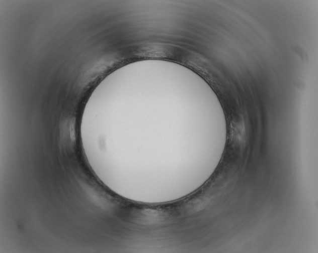 X0000113890302200910081814