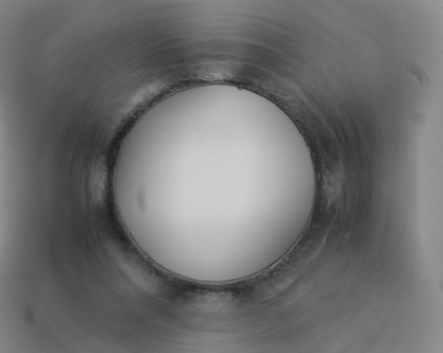 X0000113890304200910081814