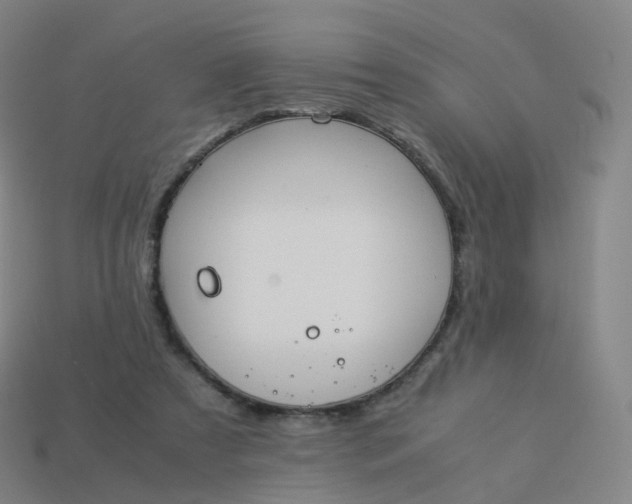 X0000113890305200910081814