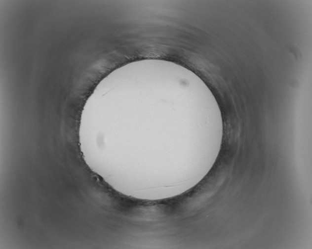 X0000113890307200910081814