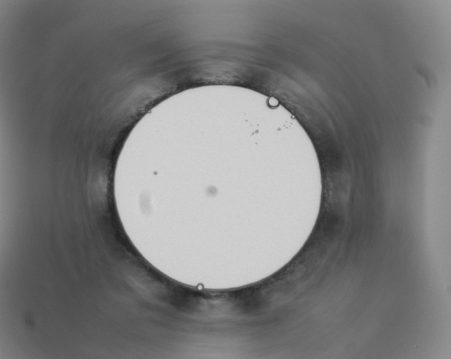 X0000113890309200910081814