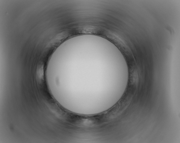 X0000113890310200910081814