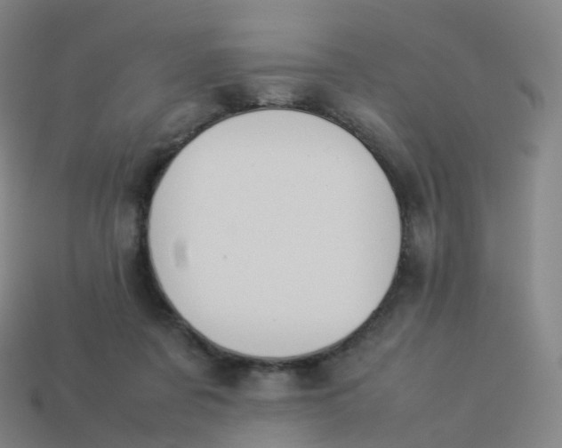 X0000113890311200910081814