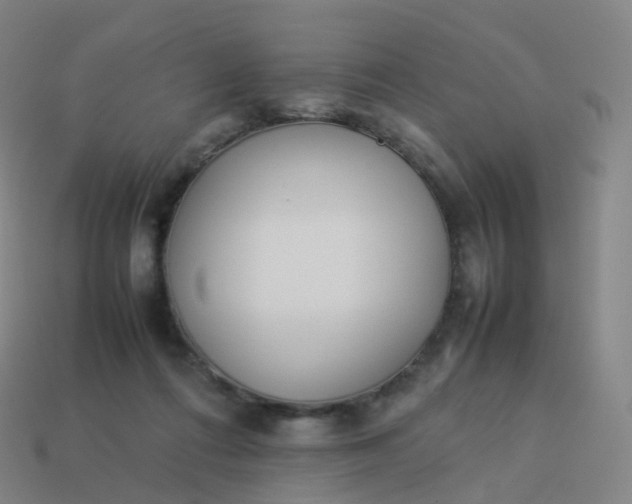 X0000113890312200910081814