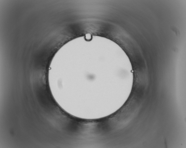 X0000113890313200910081814