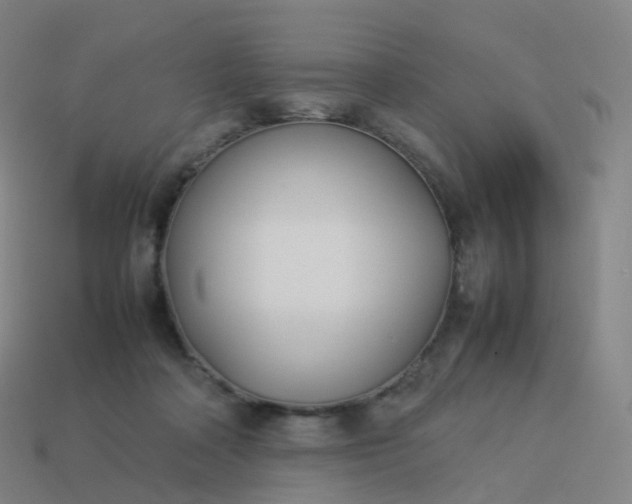 X0000113890314200910081814