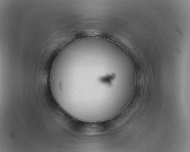 X0000113890315200910081814