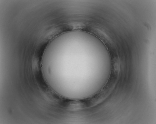 X0000113890316200910081814