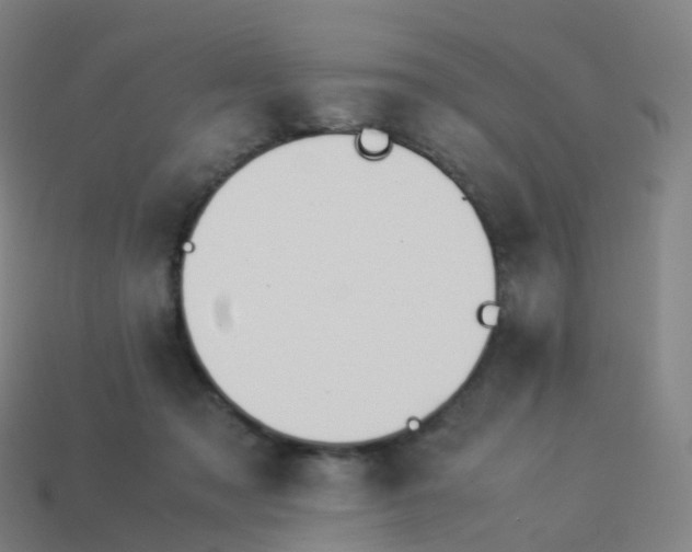 X0000113890317200910081813