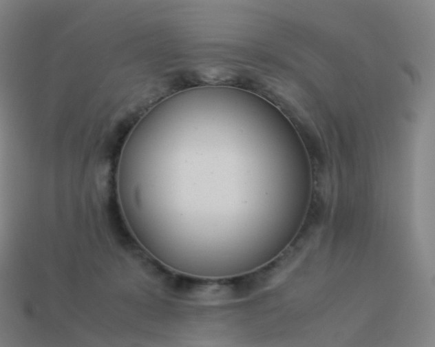 X0000113890319200910081813