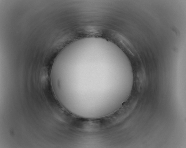 X0000113890320200910081813