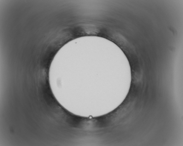 X0000113890321200910081813