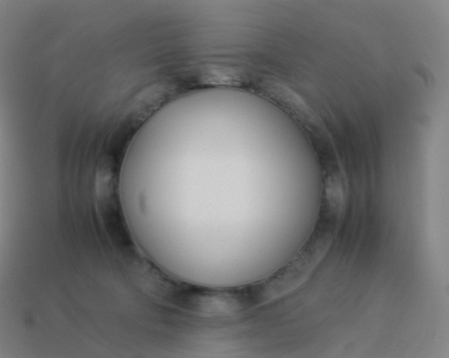 X0000113890322200910081813