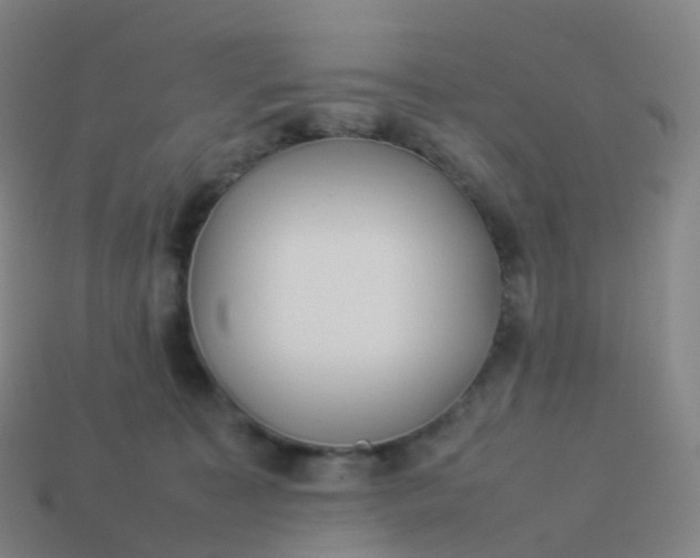 X0000113890323200910081813