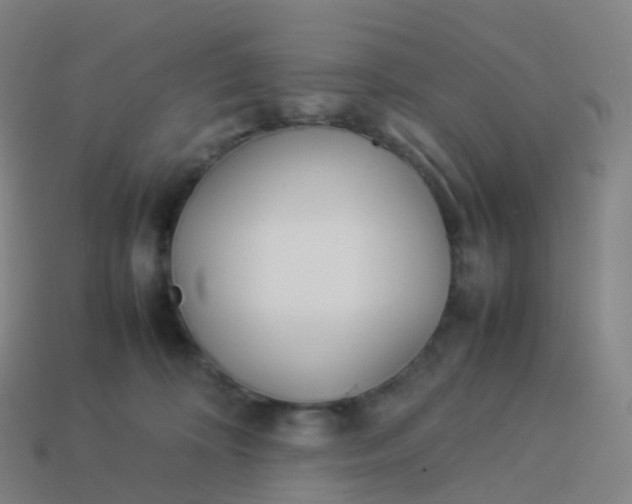 X0000113890324200910081813