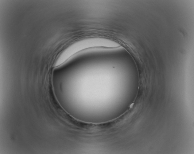 X0000113890325200910081813