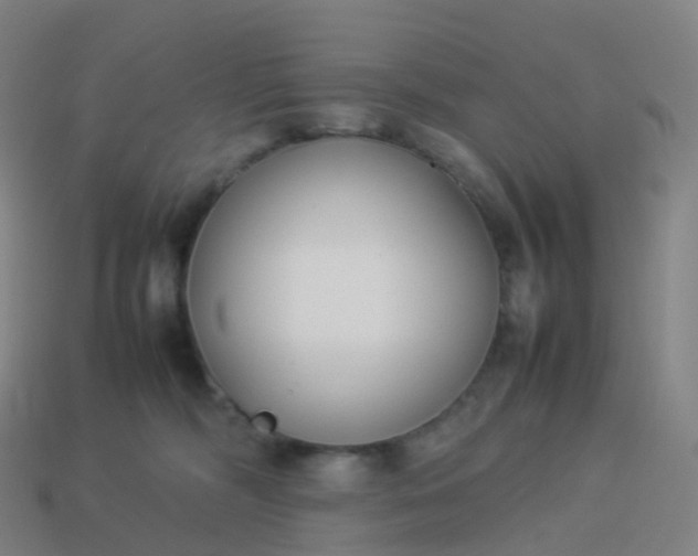 X0000113890326200910081813