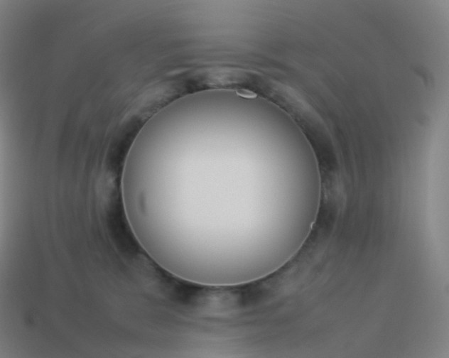 X0000113890327200910081813