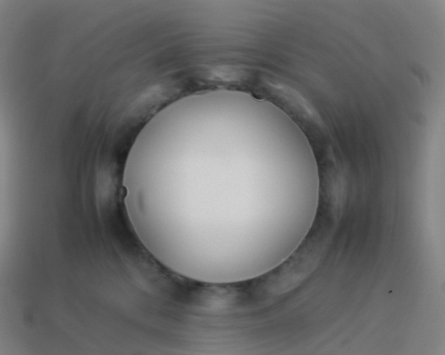 X0000113890328200910081813