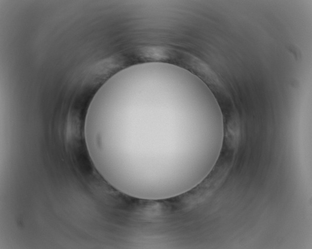 X0000113890330200910081813