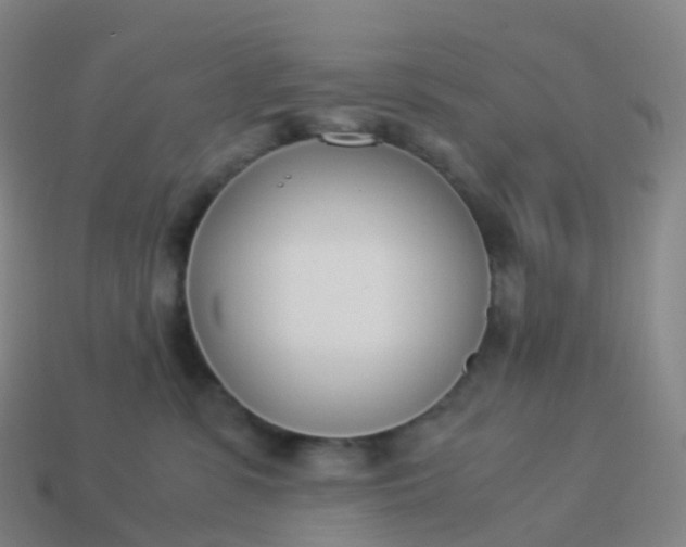 X0000113890331200910081813