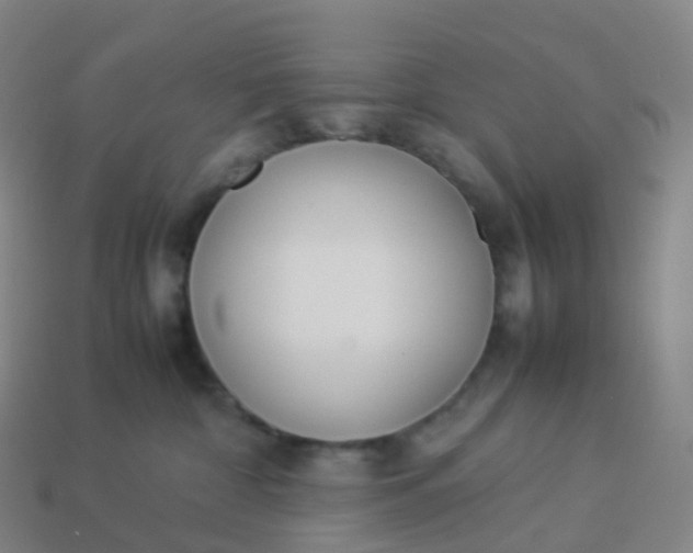 X0000113890332200910081813