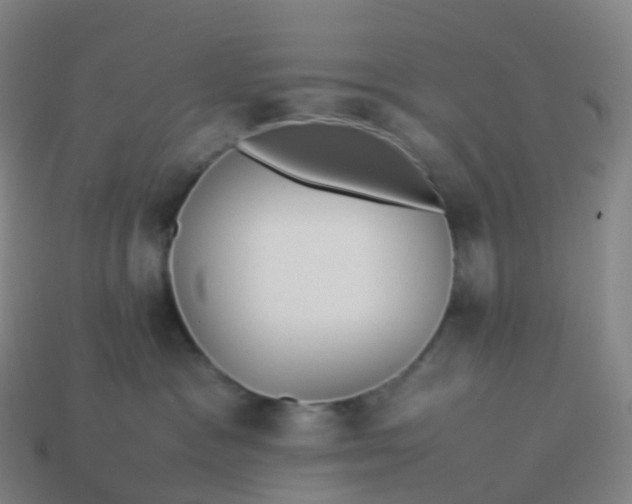 X0000113890333200910081813