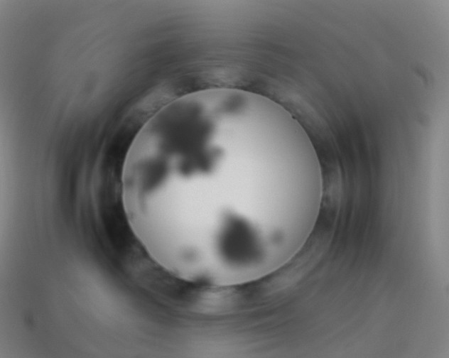 X0000113890334200910081813