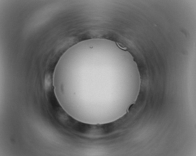 X0000113890335200910081813