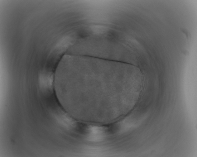 X0000113890336200910081813