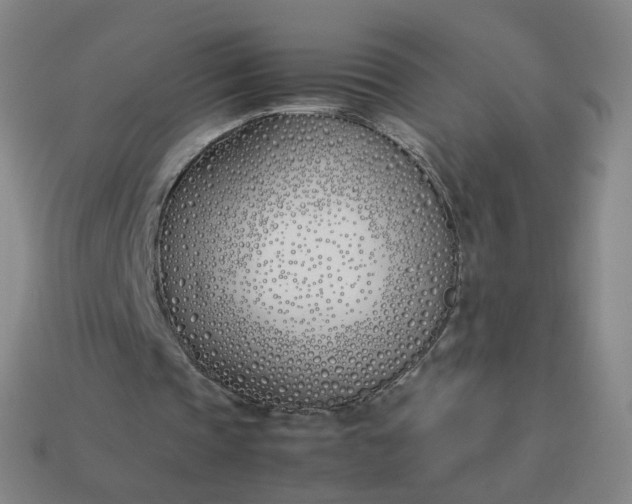 X0000113890337200910081813