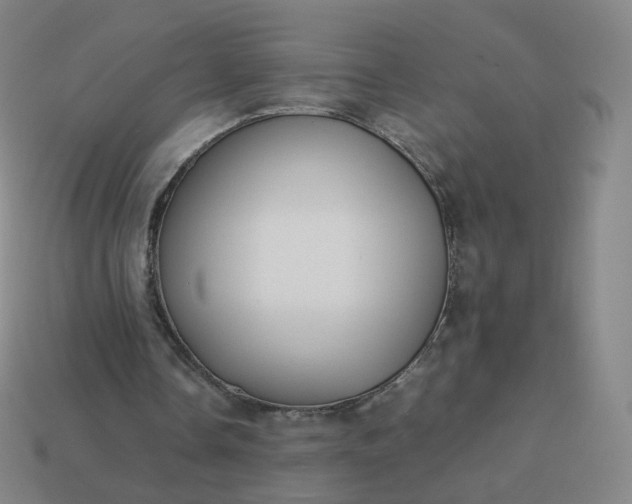 X0000113890338200910081813