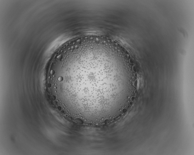 X0000113890339200910081813