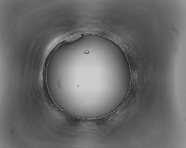 X0000113890340200910081813