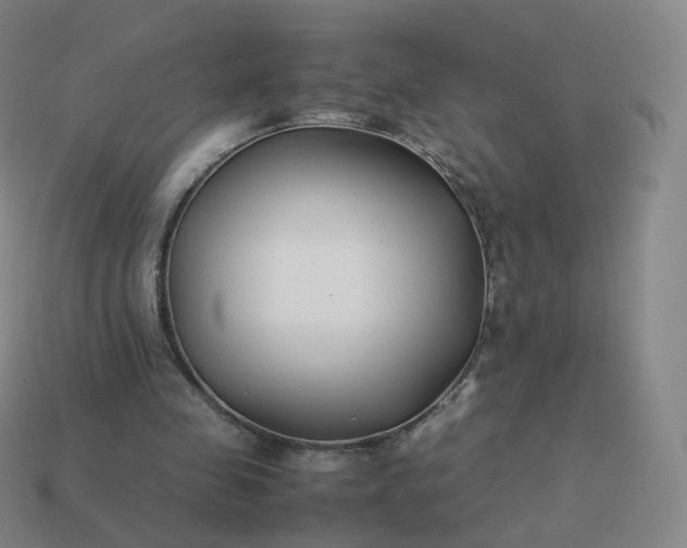 X0000113890341200910081813