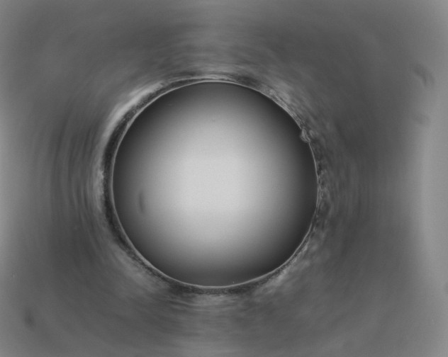 X0000113890342200910081813