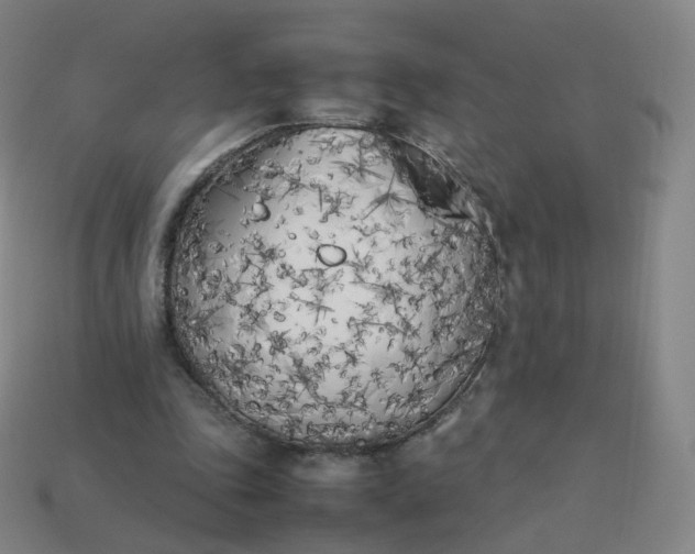 X0000113890343200910081813