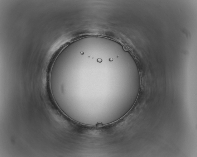 X0000113890344200910081813