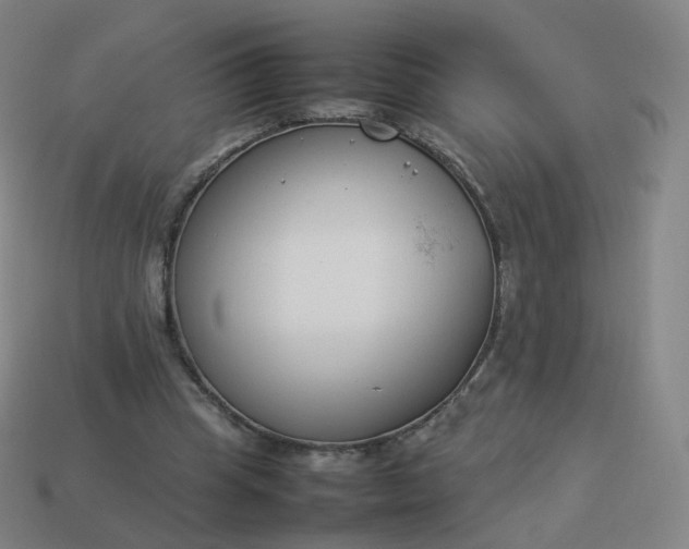 X0000113890345200910081813