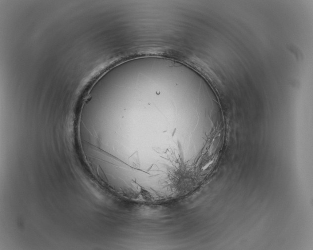 X0000113890346200910081813