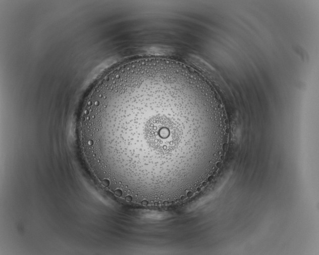 X0000113890347200910081813