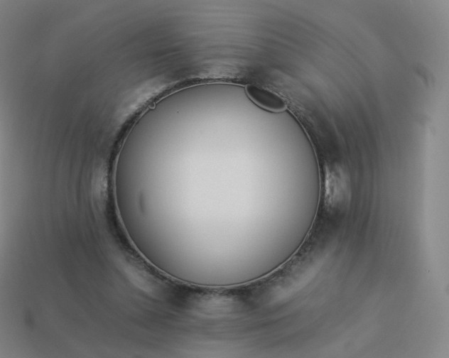 X0000113890348200910081813