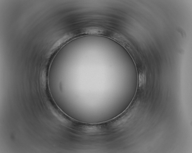 X0000113890349200910081813