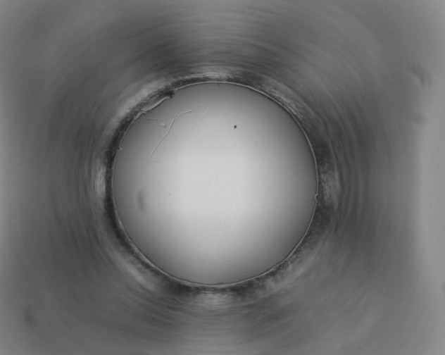 X0000113890350200910081813