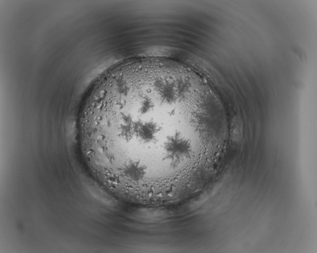 X0000113890351200910081813