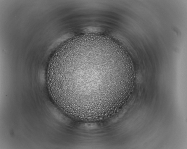 X0000113890353200910081813